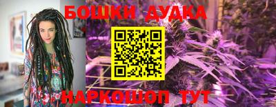 jwh Новозыбков
