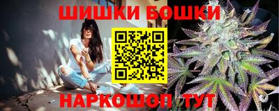 jwh Новозыбков