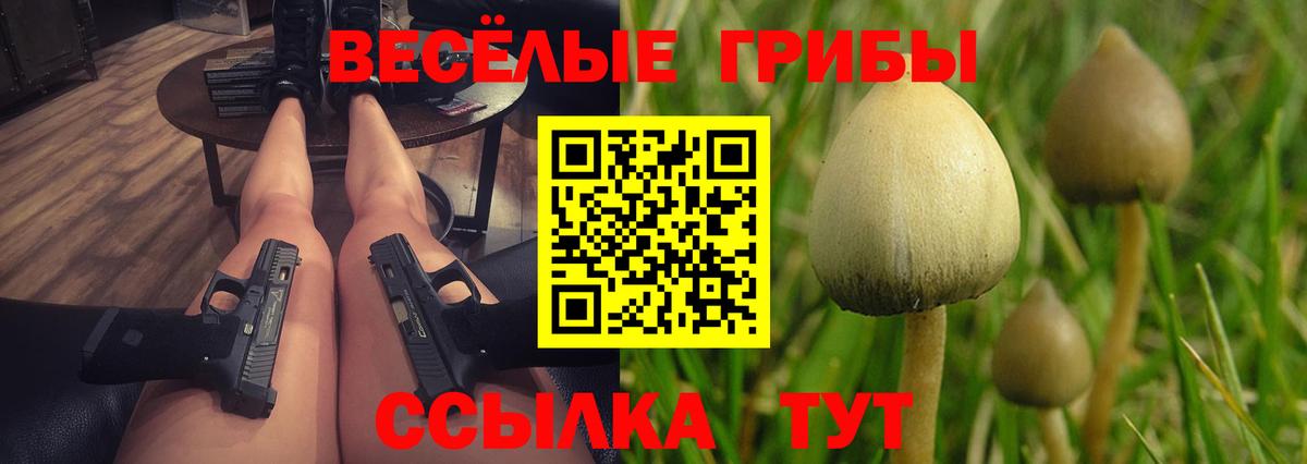 Галлюциногенные грибы Cubensis  Вход с VPN  Сургут 